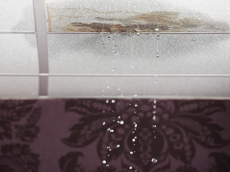 Restore Your Home With Water Damage Services