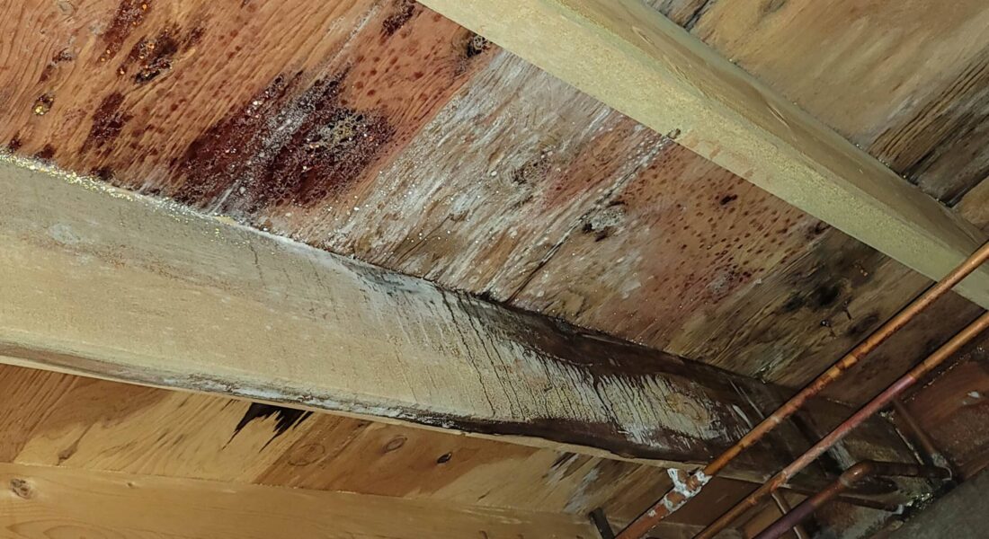 A Wooden Ramp