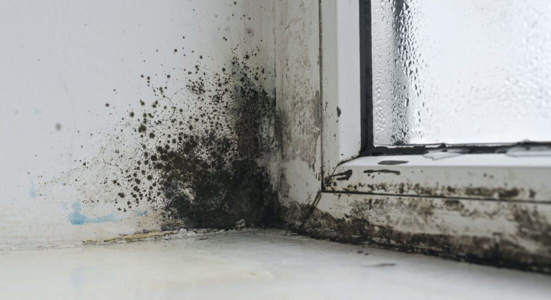 A Dirty Window
