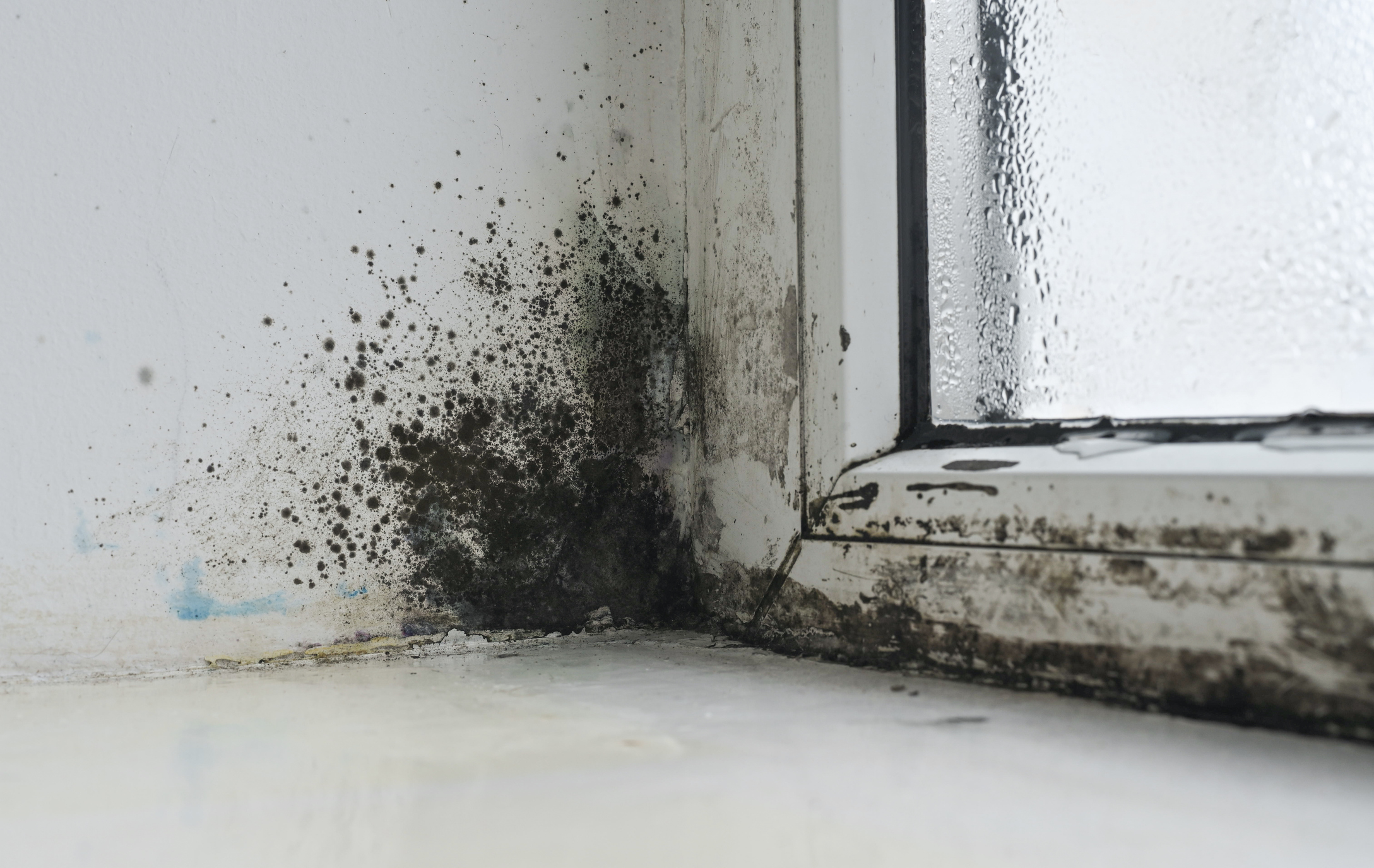 a dirty window