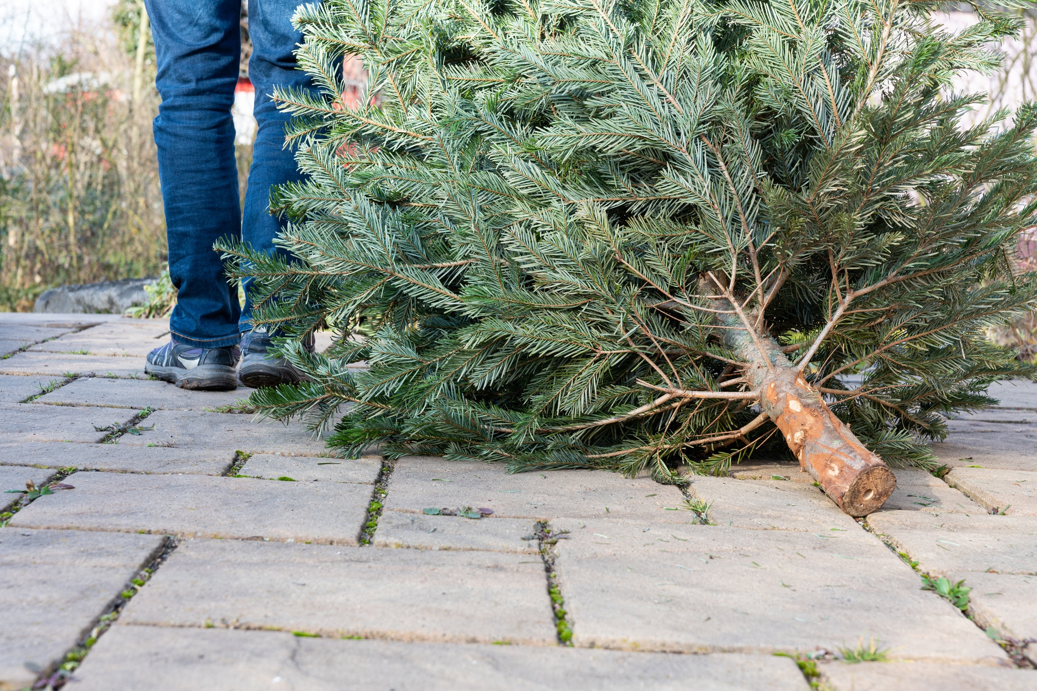 a person standing next to a tree