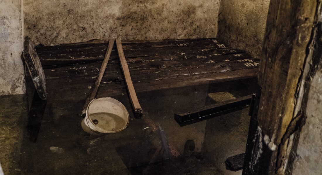 Flooded Basement. Harmful Effects Of Water And Mold.